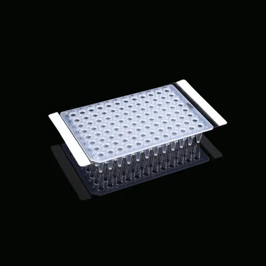 cplabsafety-3202607131452241099323