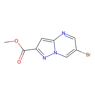 cplabsafety-3202607131454241099489