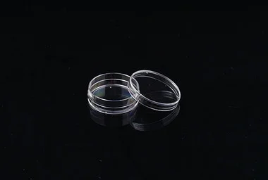 cplabsafety-3202607131501421100080