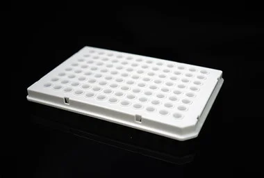 cplabsafety-3202607131508361100634