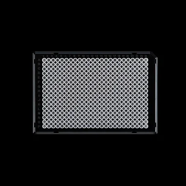cplabsafety-3202607131510191100764