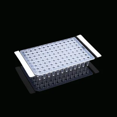 cplabsafety-3202607131515431101203