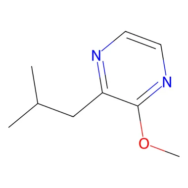 cplabsafety-3202607131528471102269