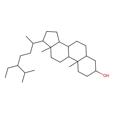 cplabsafety-3202607131529301102333