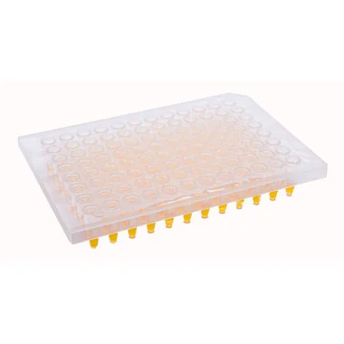 cplabsafety-3202607131543581103649
