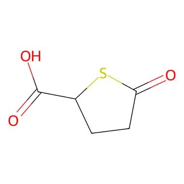 cplabsafety-3202607131636281108045