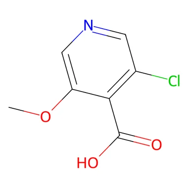 cplabsafety-3202607131642071108538