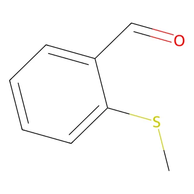 cplabsafety-3202607131643181108632