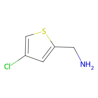 cplabsafety-3202607131648291109085