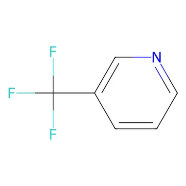 cplabsafety-3202607131651091109318
