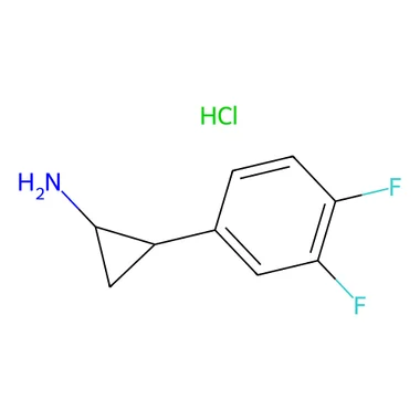 cplabsafety-3202607131718111111854
