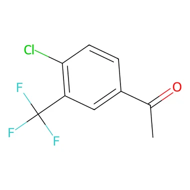 cplabsafety-3202607131808371117495
