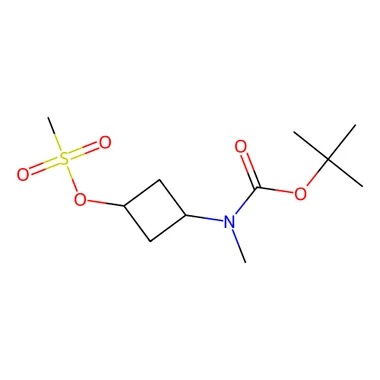 cplabsafety-3202607131809471117628