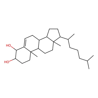cplabsafety-3202607131812131117902