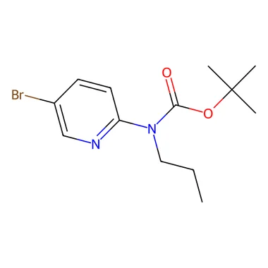 cplabsafety-3202607131813281118028