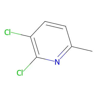 cplabsafety-3202607131814131118103