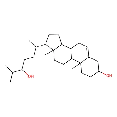 cplabsafety-3202607131823101119030