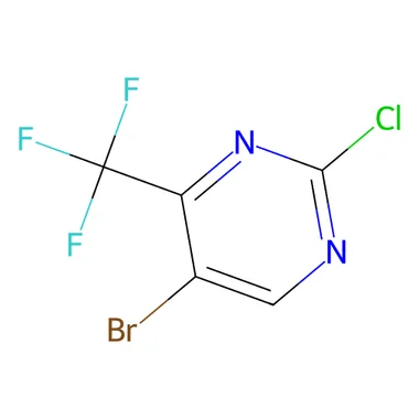 cplabsafety-3202607131823431119090