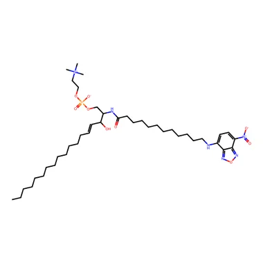 cplabsafety-3202607131825371119294