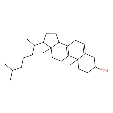 cplabsafety-3202607131843101121167