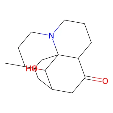 cplabsafety-3202607131846251121505