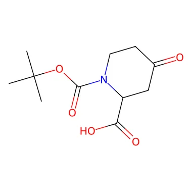 cplabsafety-3202607131849351121819