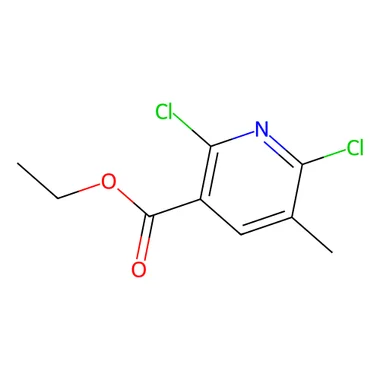 cplabsafety-3202607131852441122072