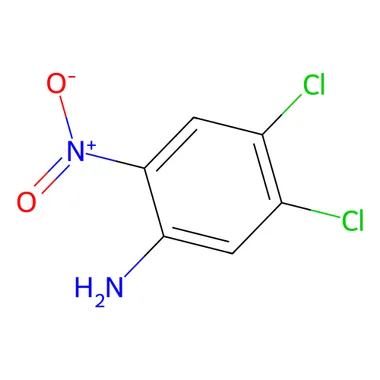 cplabsafety-3202607131854411122255