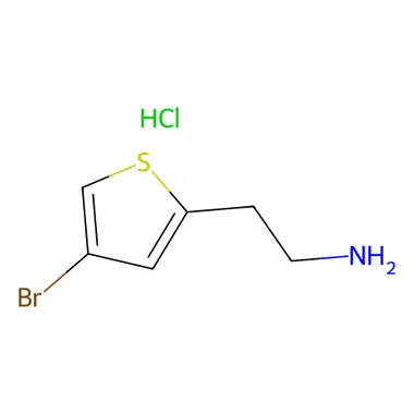 cplabsafety-3202607131928551125662