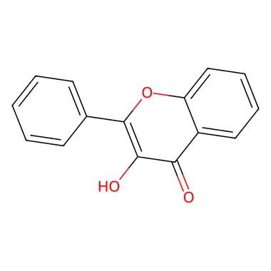 cplabsafety-3202607131933301126123