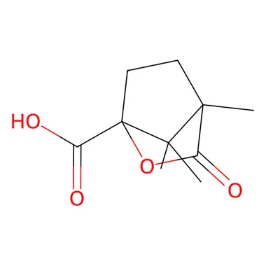 cplabsafety-3202607131936221126468