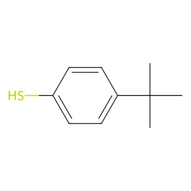 cplabsafety-3202607131941261126992