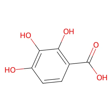cplabsafety-3202607131953051128124