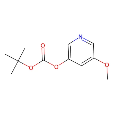 cplabsafety-3202607132008321129651
