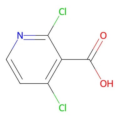 cplabsafety-3202607132027181131566