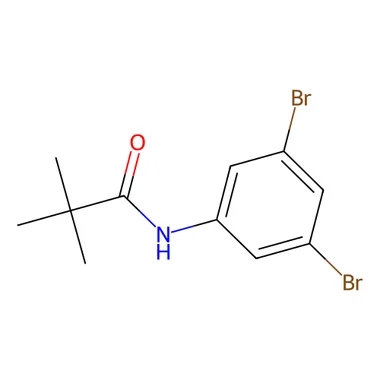 cplabsafety-3202607132056501134937