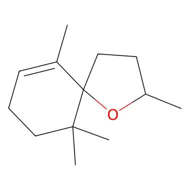 cplabsafety-3202607132124111138116