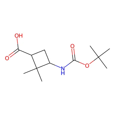 cplabsafety-3202607132140091139854