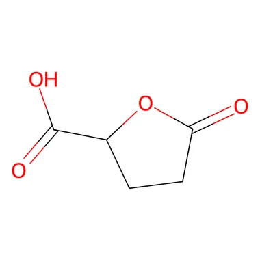 cplabsafety-3202607132152081140930