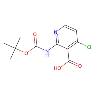 cplabsafety-3202607132258401147876