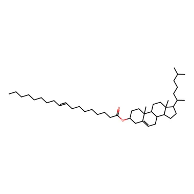 cplabsafety-3202607140017491153856