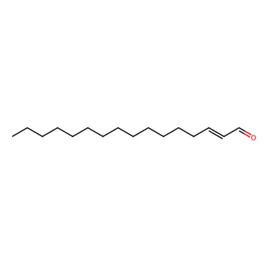 cplabsafety-3202607140059191155931