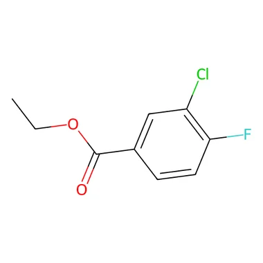 cplabsafety-3202607140138571158251