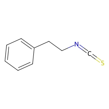 cplabsafety-3202607140157101159779