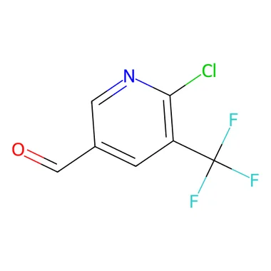 cplabsafety-3202607140201001160139