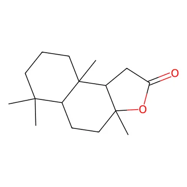 cplabsafety-3202607140209101160882