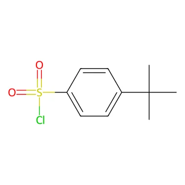 cplabsafety-3202607140222171161913