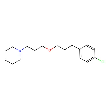 cplabsafety-3202607140231051162747
