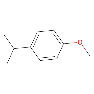 cplabsafety-3202607140305081165879