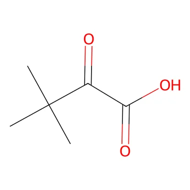 cplabsafety-3202607140317451167145